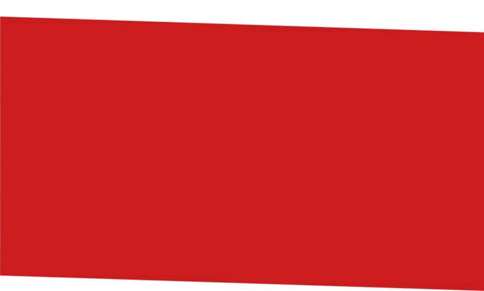 EARLY CAREER PROGRAMS